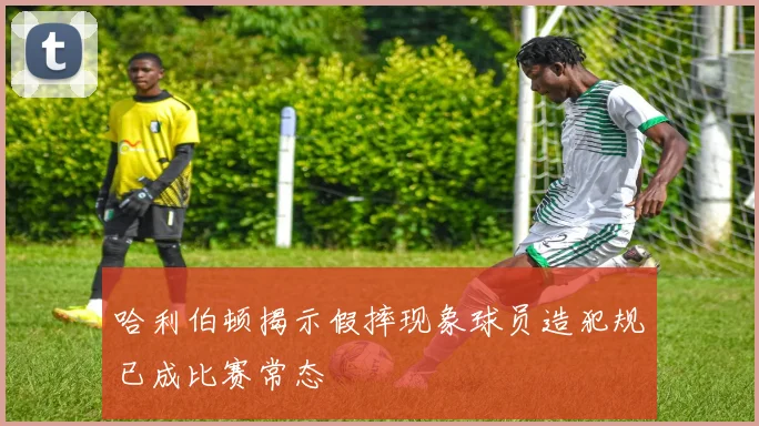 哈利伯顿揭示假摔现象球员造犯规已成比赛常态